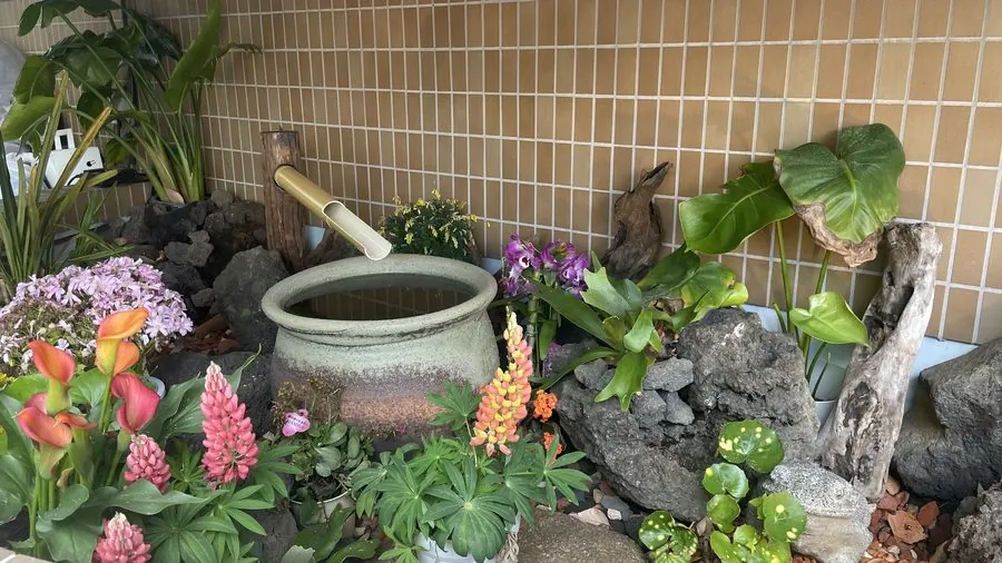 绿化环境