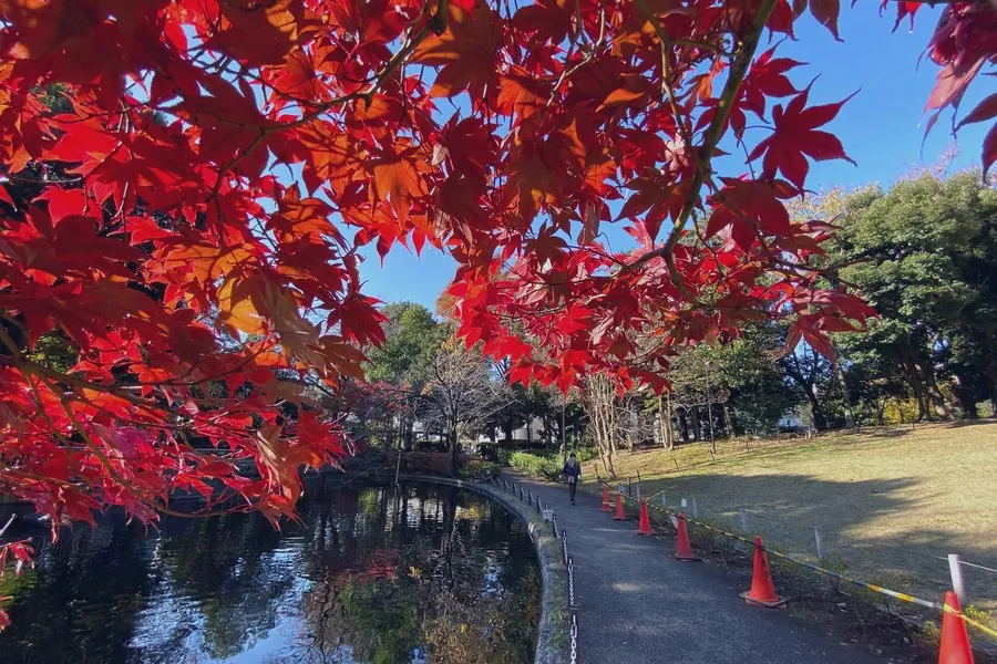1月